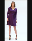 Chic V-Neck Long Sleeve Belted Dress